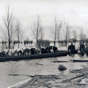 koeboot